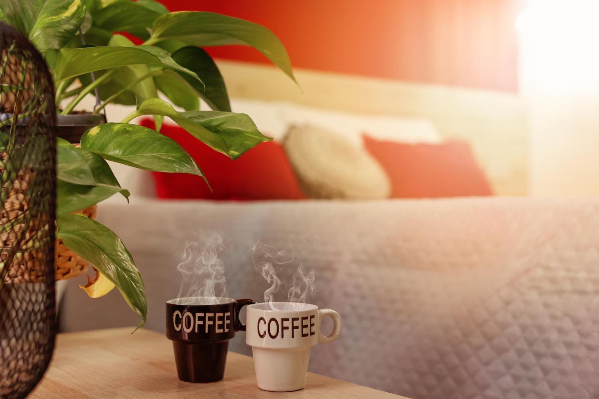 U259 Couette-café *